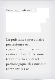 Pour approfondir : «Notre culture est analphabète du corps et de surcroît, elle ne le sait pas. Elle se contente de recettes.»

La puissance musculaire postérieure est rigoureusement sous évaluée : lors du trismus tétanique la contraction pathologique des muscles rompent les os.